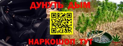 сатива Наро-Фоминск