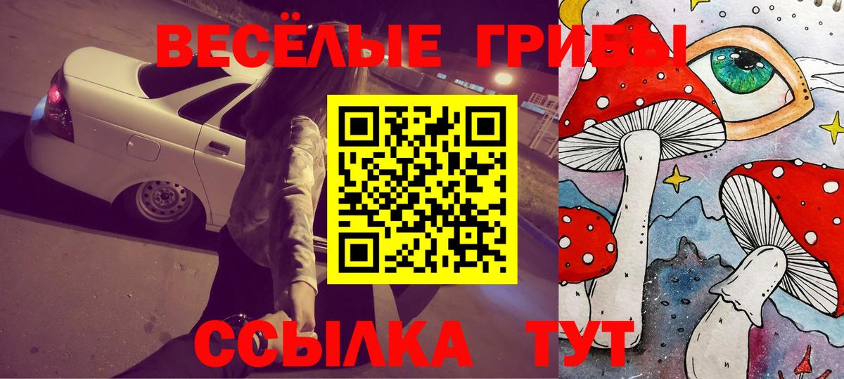 Соль-Илецк  Псилоцибиновые грибы Psilocybe  Вход с VPN  купить наркотик  Галлюциногенные грибы Magic Shrooms 