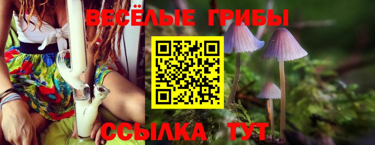 Галлюциногенные грибы Cubensis Соль-Илецк