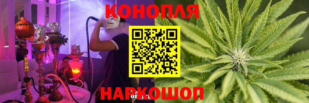 Бошки марихуана White Widow  Вход с VPN  Соль-Илецк  Шишки марихуана тримм 